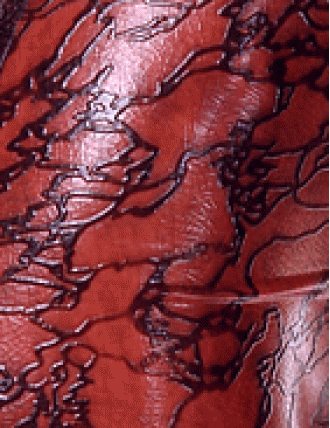 Struktur Latex Translucent Lava Pink Moire
